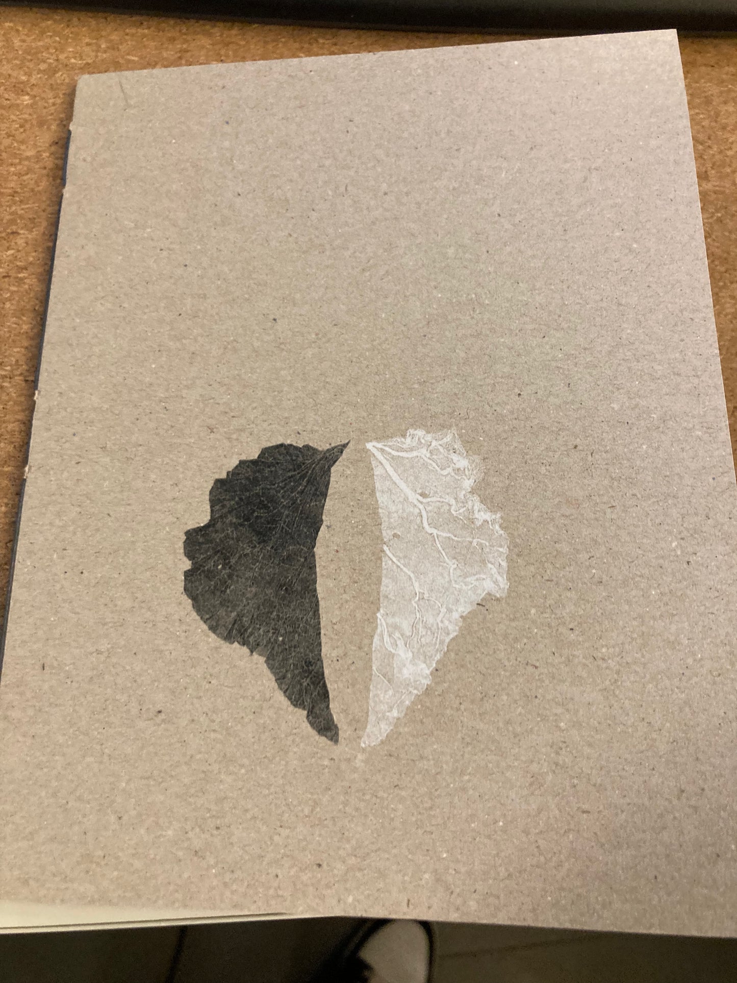 Nature fluide - Ana Bélen Montero