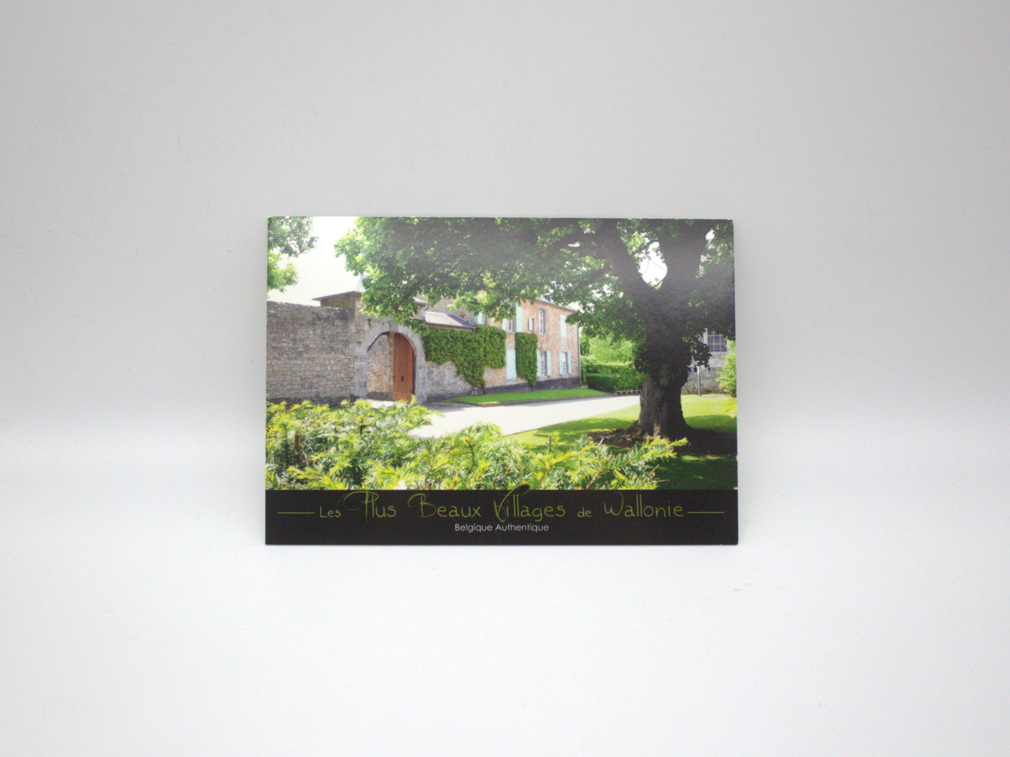 Carte postale - Les Plus Beaux Villages de Wallonie - Thon-Samson