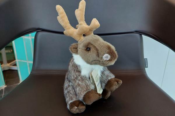 Peluche renne