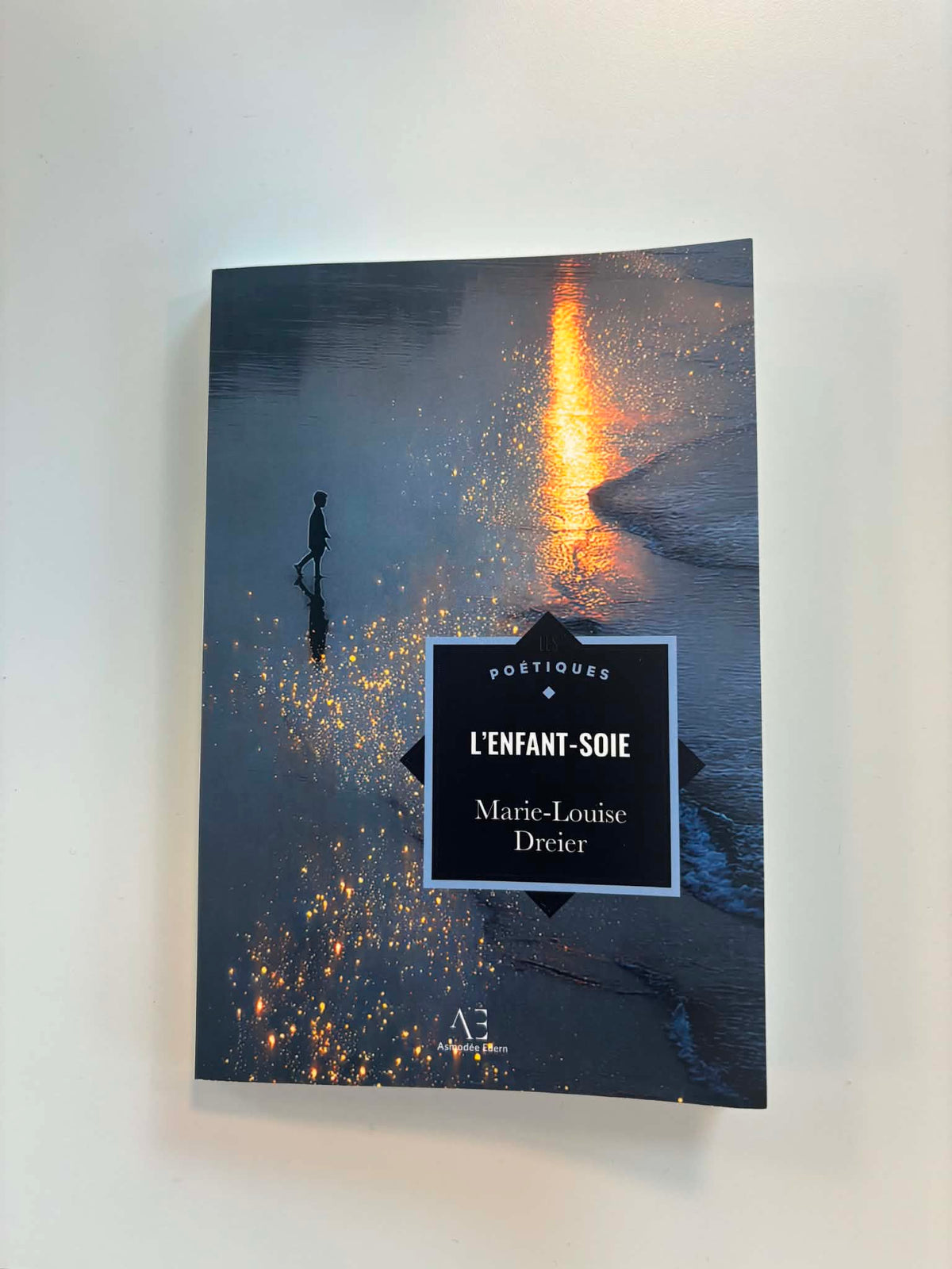 L'enfant-soie - Marie-Louise Dreier