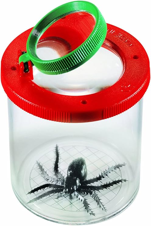 Boite loupe à insectes