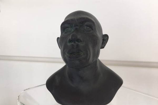 Buste sapiens ou néandertal