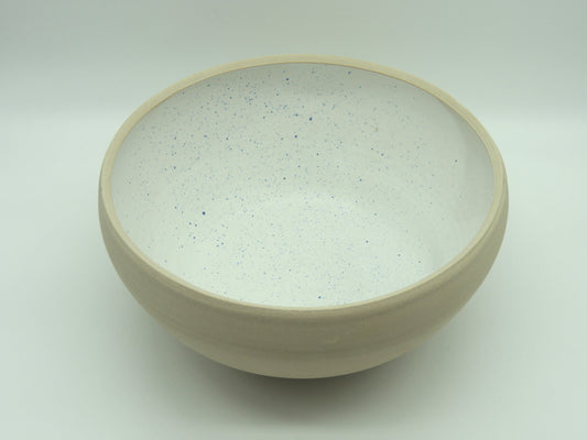 Plat Pollock- Stéfanne Prijot