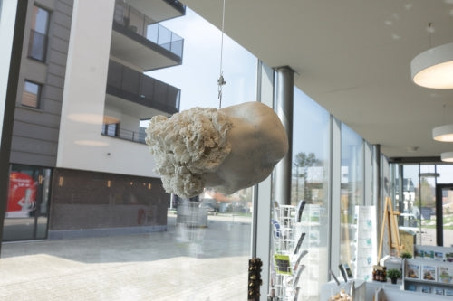 La tête dans les nuages - Ana-Bélen MONTERO