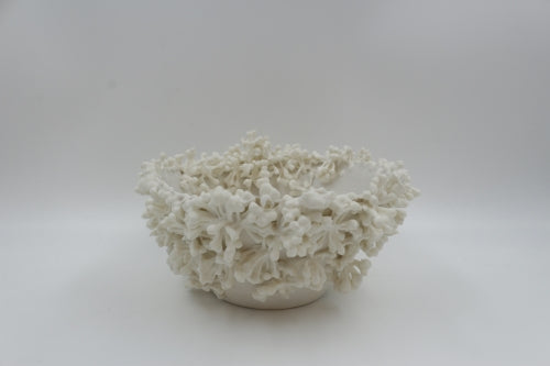 La haie de ma voisine - Murielle HANSOTTE