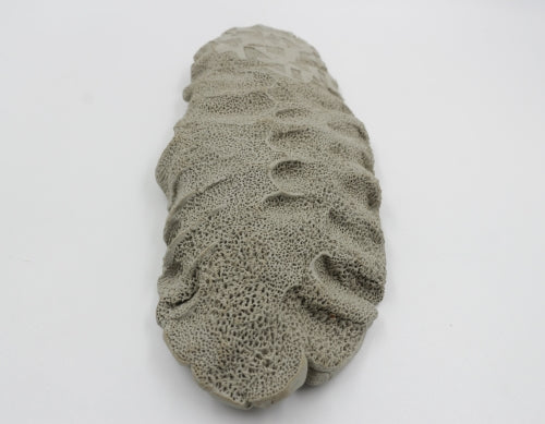 Sculpture murale - Nathalie DOYEN