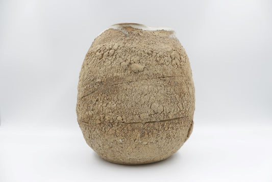 Vase - Sonia PIGNOLET