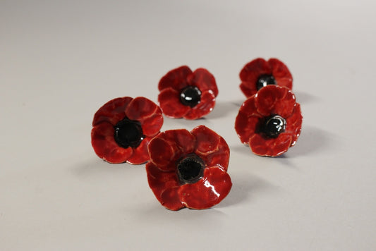 Petit coquelicot sans tige