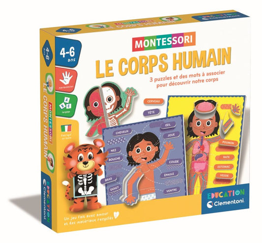 Le corps humain - Montessori