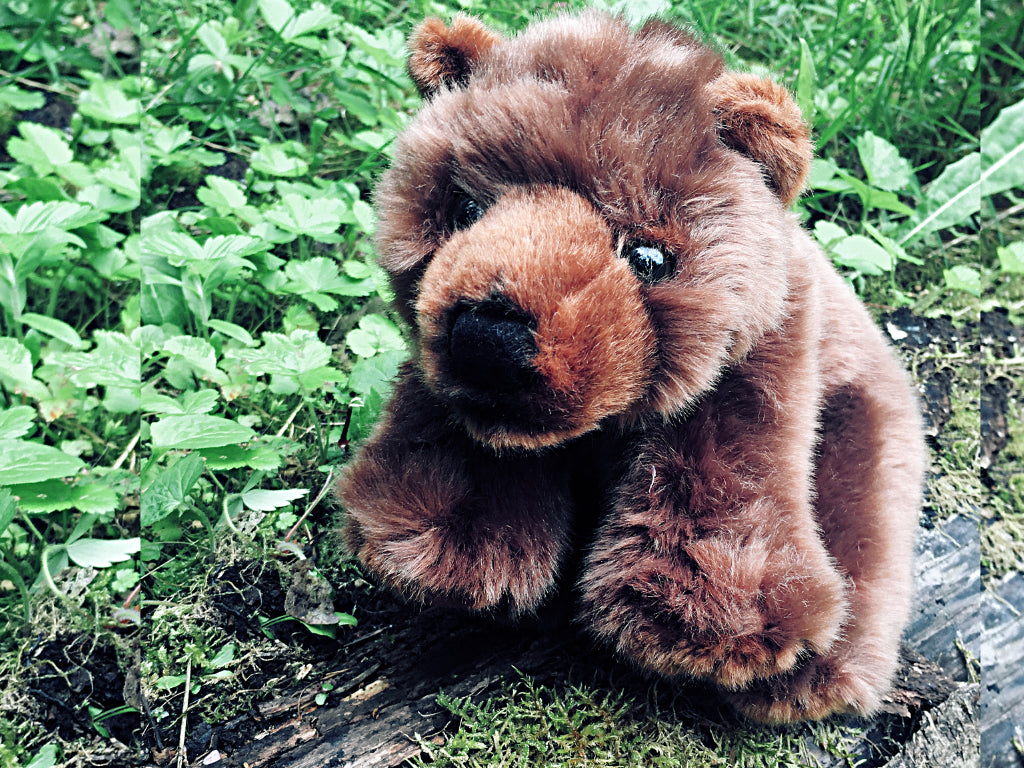 Peluche ours