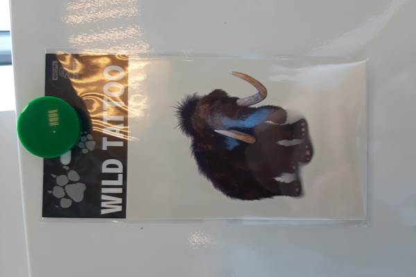 Tattoo mammouth - papillon - loup