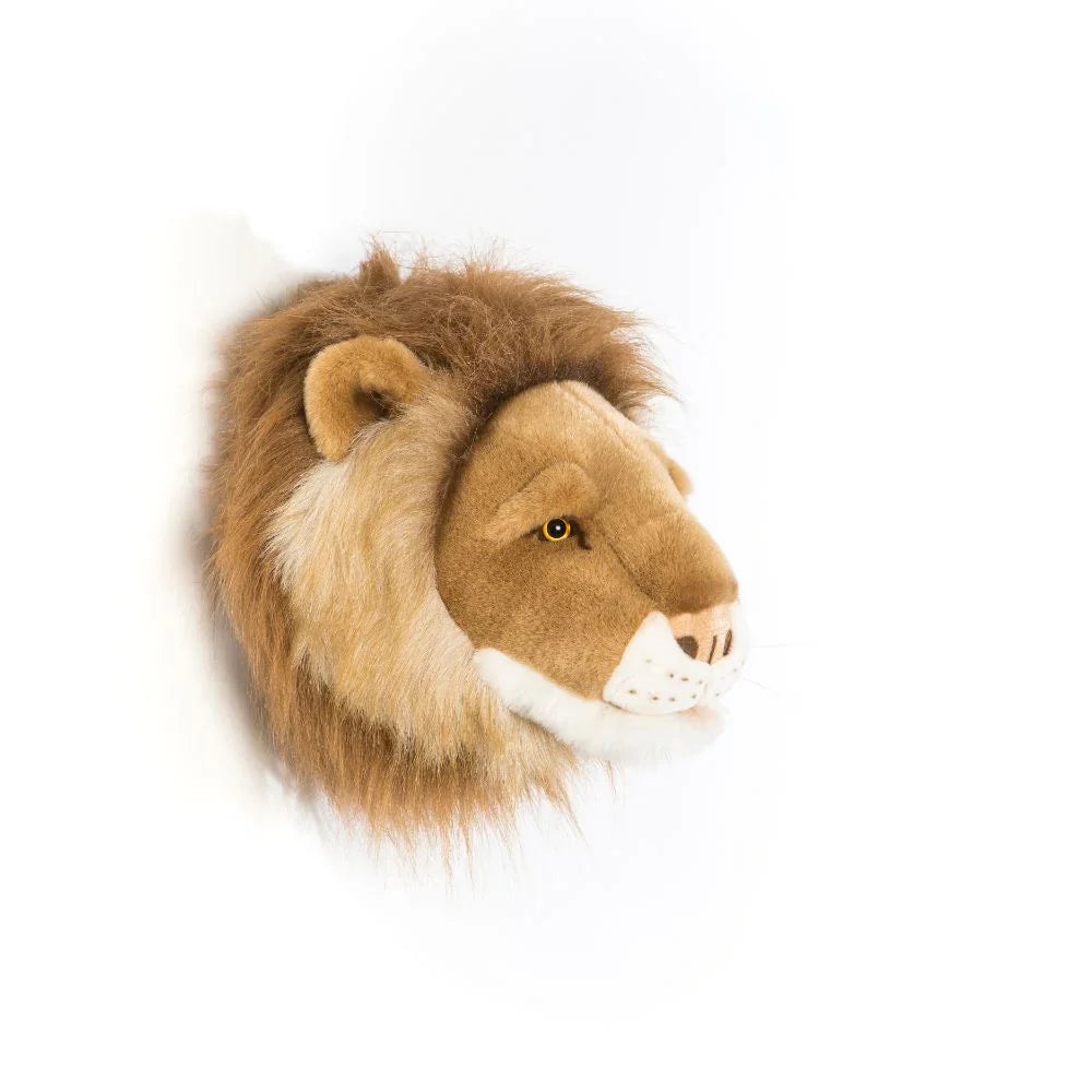 Petite tête lion