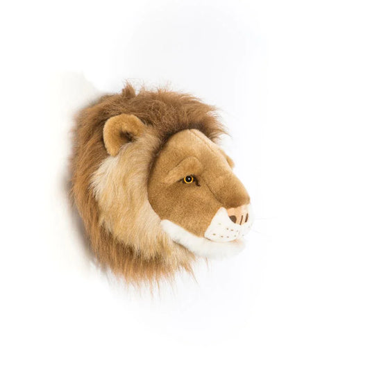 Petite tête lion
