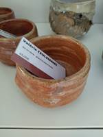 Bol en derle - Valérie CEULEMANS