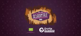 Bière Scladin'Ale - unité